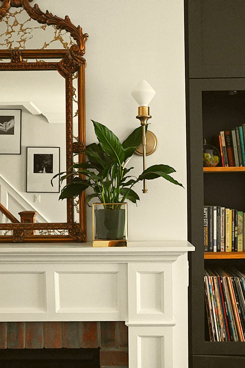Mantlepiece with an ornate mirror, sconce lighting and a plant, next to a bookcase with books